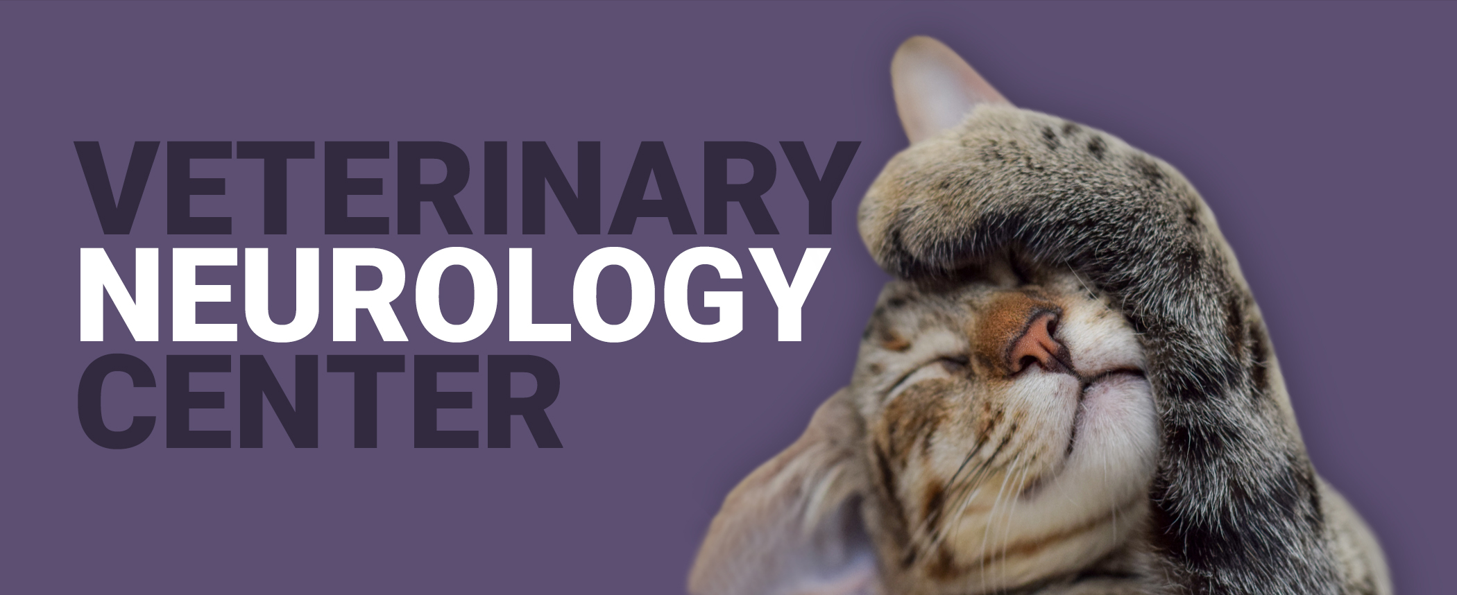 Veterinary Neurology Center text with a kitten pawing its face with its eyes closed