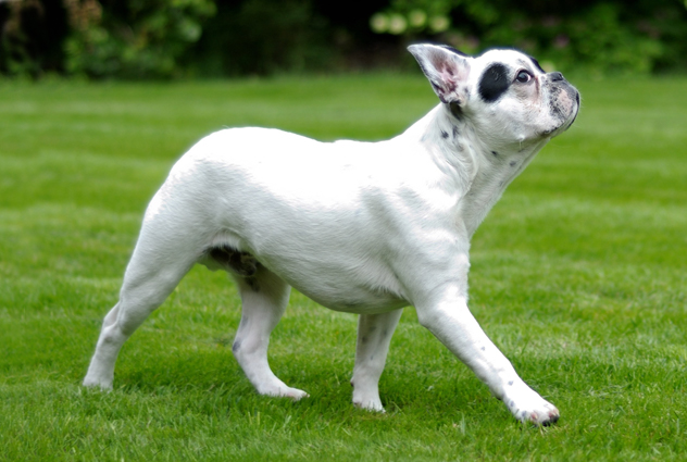 Our wide range of services