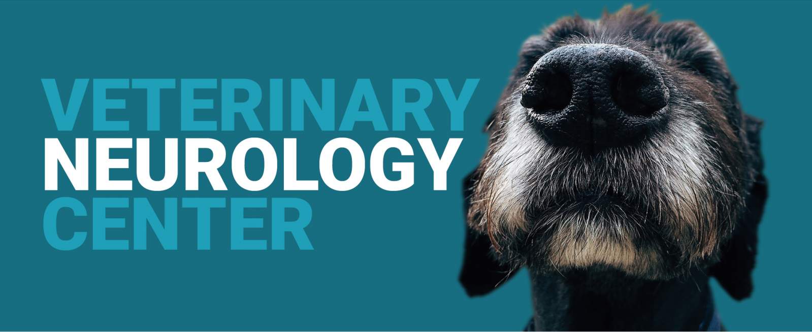 Veterinary Neurology Center