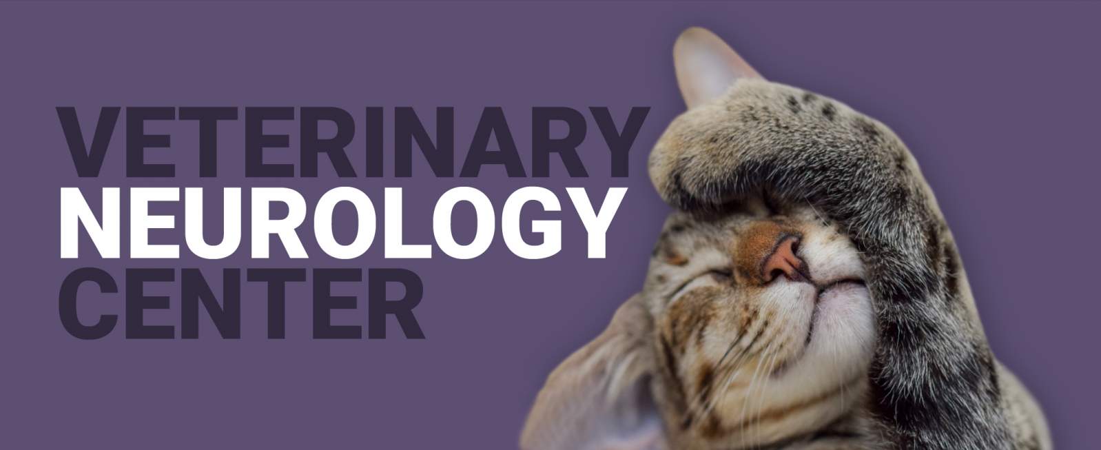 Veterinary Neurology Center