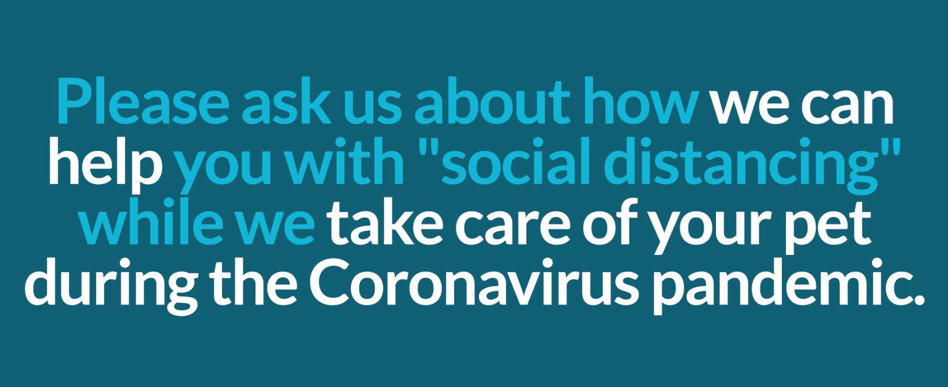 Veterinary Neurology Center